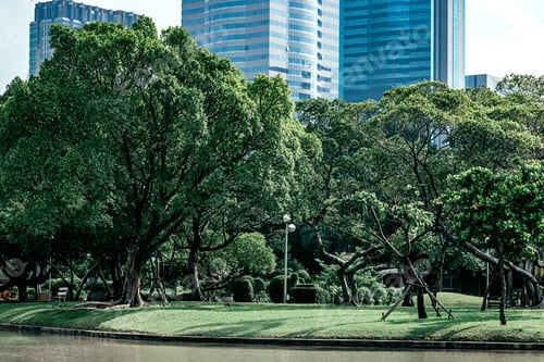 Preview: Get into the green scene. Green nature view of big trees in city park.