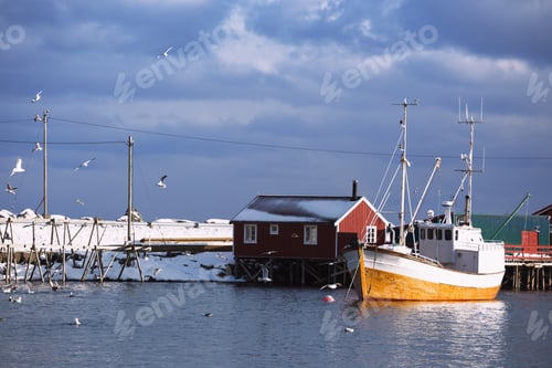 Preview: bay in winter