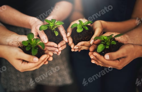 Preview: Cropped shot of a group of people holding plants growing out of soil