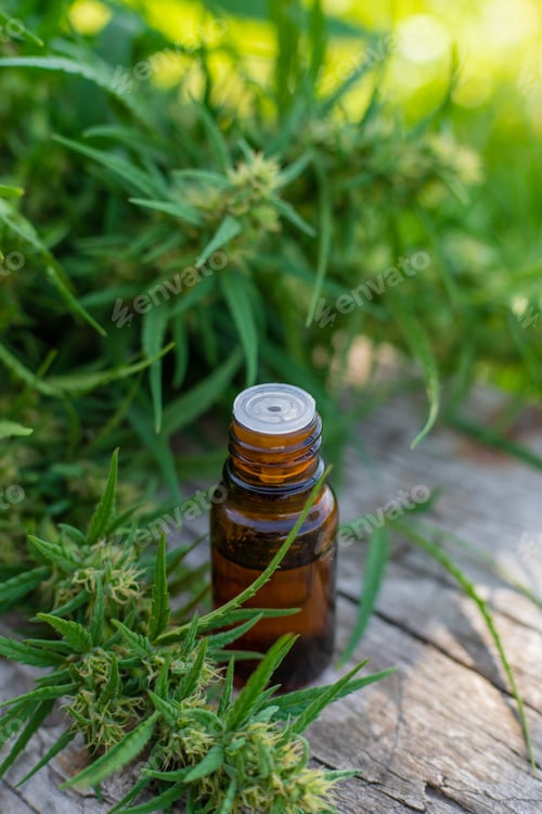 Preview: Cannabis supplements and homeopathy. Selective focus.
