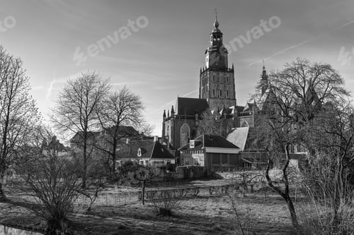 Preview: Beautiful shot of a buildings surrounded by leafless trees in black and white