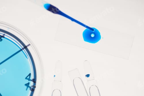 Preview: Examining of samples in the lab