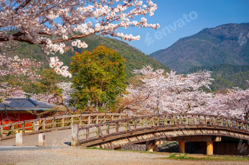 Preview: Kyoto, Japan in Spring Season