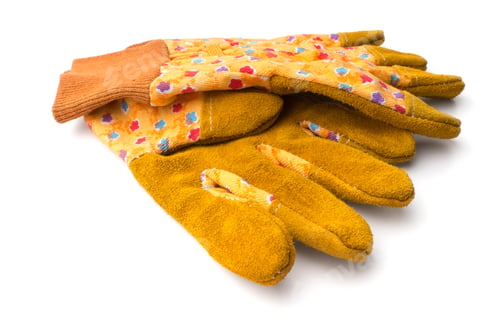 Pair of Gardening Gloves Isolated on White Background