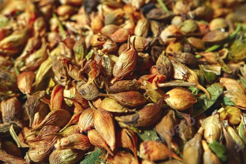 Preview: Pile of dry spices macro shot for background