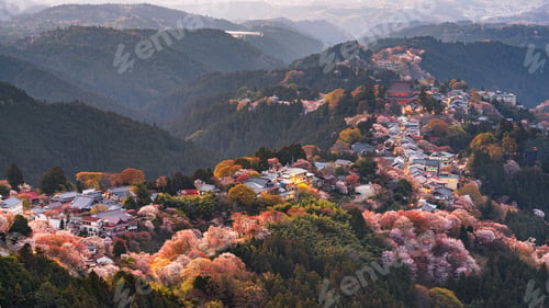 Preview: Yoshinoyama, Nara, Japan in Spring