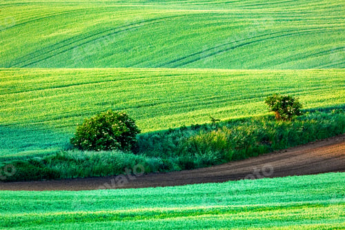 Preview: Rolling landscape of South Moravia in the mornin