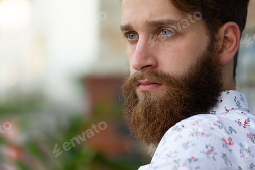 Preview: A man portrait with the beard and blue eyes