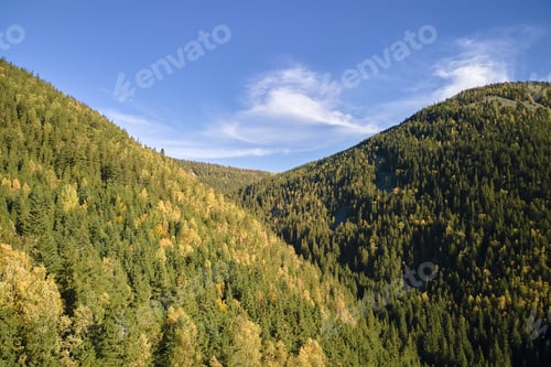 Preview: Aerial view of high hills with dark pine forest trees at autumn bright day.