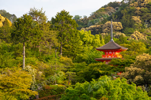 Preview: The iconic Kiyomizu-dera temple and mountain view on a sunny spring day in Kyoto, Japan