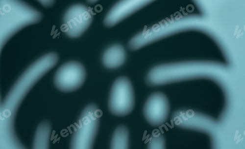 Preview: Shadows from monstera leaves