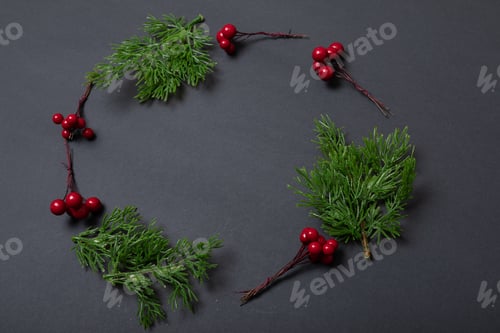Preview: Composition of tree branches with berries and copy space on black background