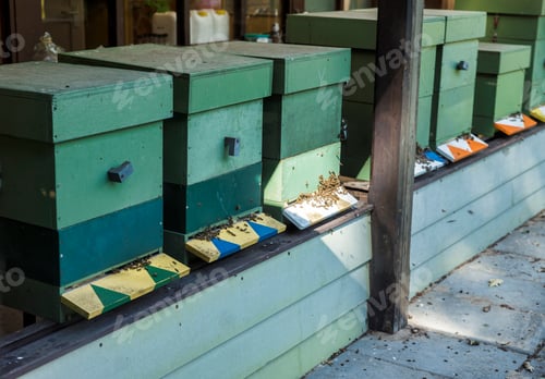 Preview: Traditional wooden hives for beeholding