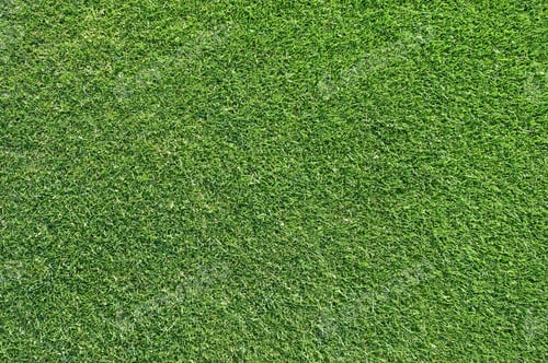 Preview: Beautiful green grass texture from golf course