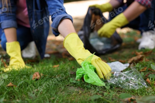 Preview: Woman collecting garbage in park, closeup view
