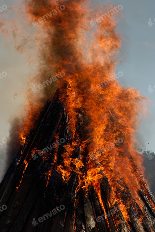 Preview: Campfire flame close-up on the background of the forest