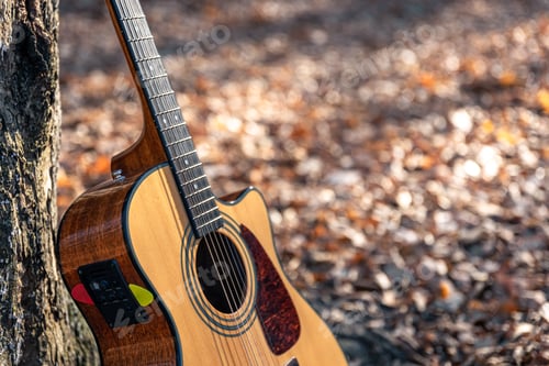 Preview: Acoustic guitar on a blurred background of an autumn forest.