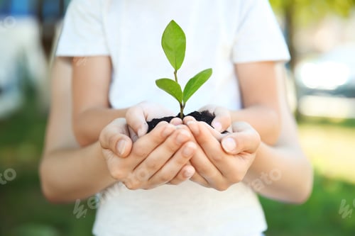 Preview: Woman and her child holding soil with green plant in hands on blurred background. Family concept