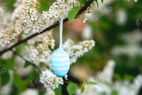 Preview: Easter egg hand-painted in white and blue colors on a blossoming branch of a Prunus padus, bird