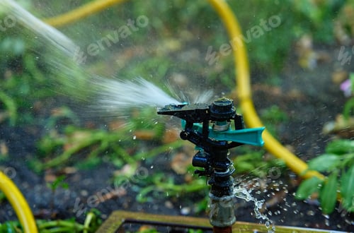 Preview: Garden Sprinkler Watering Lush Green Plants