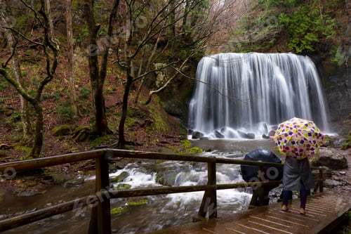 Preview: Majestic waterfall in the rainforest jungle