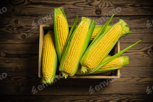 Preview: Corn in old box.