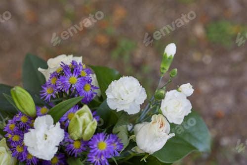 Preview: Top view of purple and white flowers