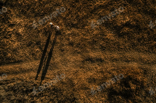 Preview: Long shadow from man and woman top view