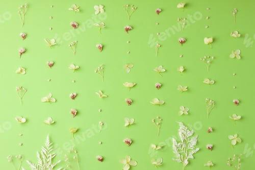 Preview: Cosmetic natural background with flowers on green. Flat lay