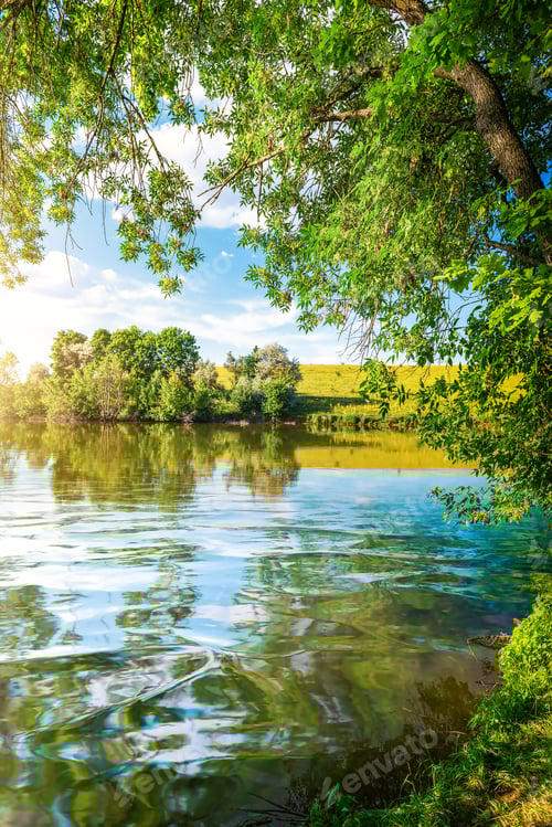 Preview: Landscape pond and forest