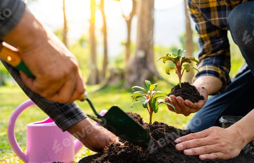 Preview: two young men are planting a tree to preserve the environment, plant tree concept to reduce global w