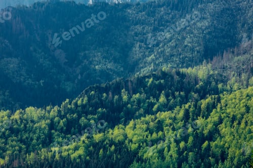 Preview: View at Tatra National Park