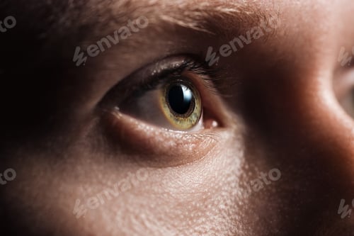 Preview: close up view of human eye with eyelashes and eyebrow looking away in dark