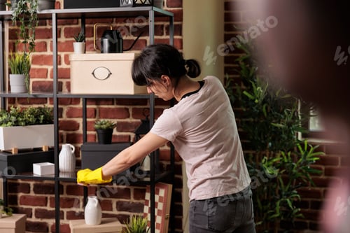 Preview: Domestic employee dusting shelves in urban apartment
