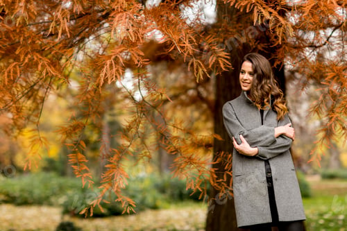 Preview: Young woman in the autumn forest