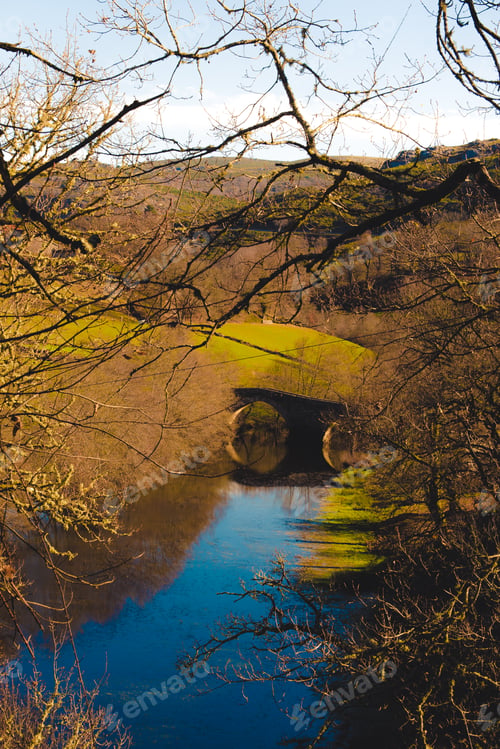 Preview: Calm river in autumn countryside