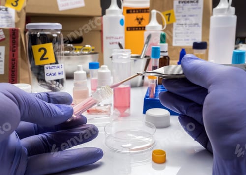 Preview: Specialized criminalistic police performs hematological analysis