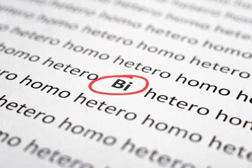 Preview: Many typed words Hetero and Homo and one word Bi circled in red on white paper, close-up