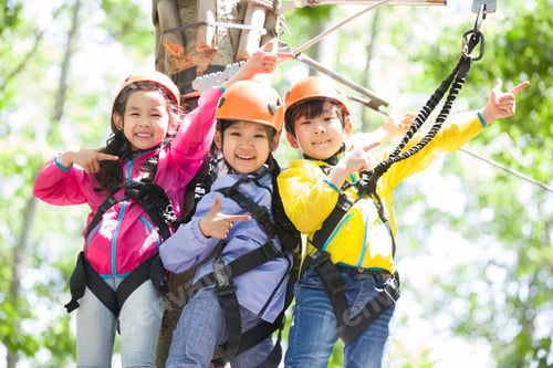 Preview: Happy children playing in tree top adventure park