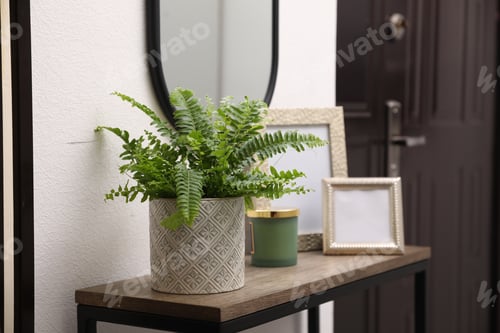 Preview: Beautiful fresh potted fern and empty frames on table in hallway