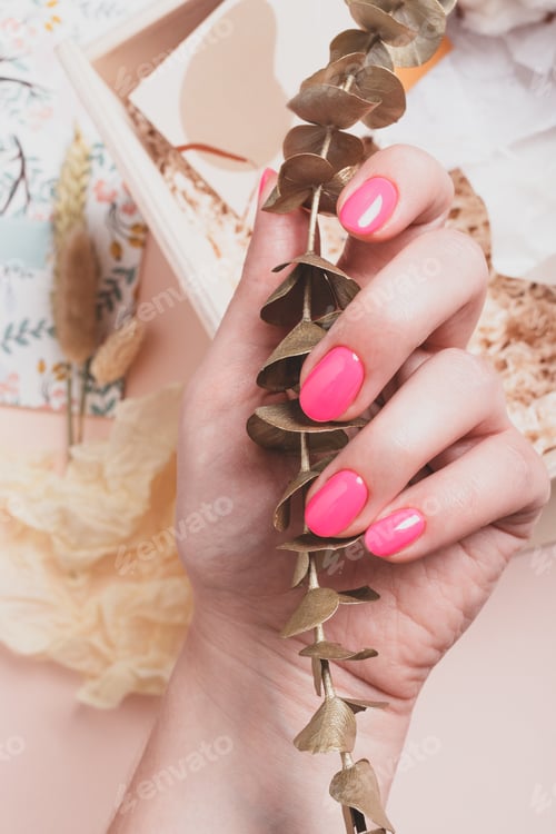 Preview: Female hand with bright pink manicure holds a branch of golden eucalyptus