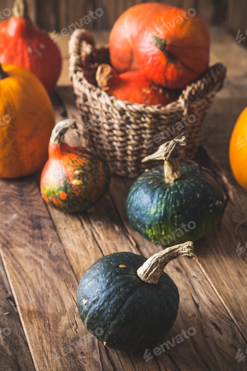 Preview: Pumpkins