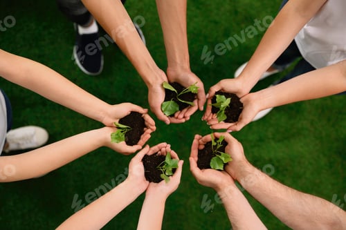Preview: Group of volunteers holding soil with sprouts in hands outdoors, top view