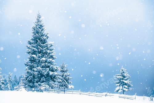 Preview: Snow Covered Trees During a Winter Snowfall