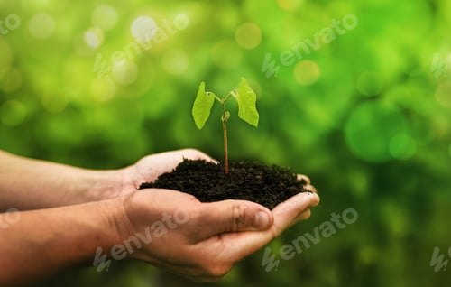 Preview: Concept of the environment World Earth Day. Protect clean planet, saving environment and ecology.