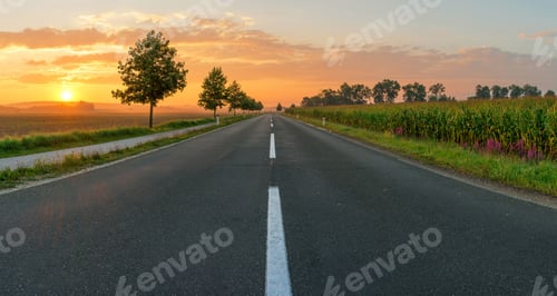 Preview: Countryside road leading to sunrise