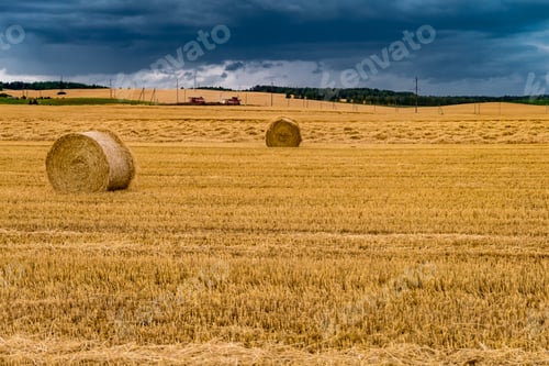 Preview: Hay bales under cloudy storm sky on harvested wheat field.