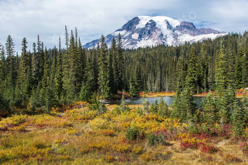 Preview: Scenic view of a lake and green trees against a snow-covered mountain