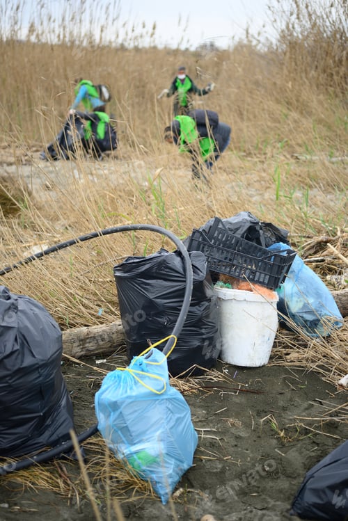 Preview: Beach Plastic collection day to protect the Torre Flavia nature protected area in Italy.