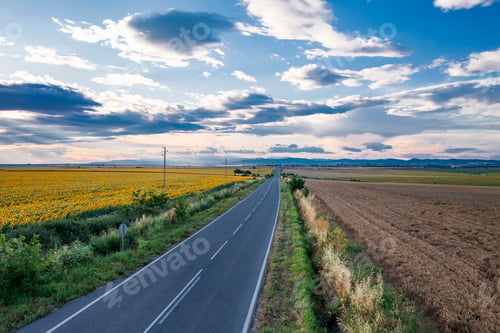 Preview: empty road